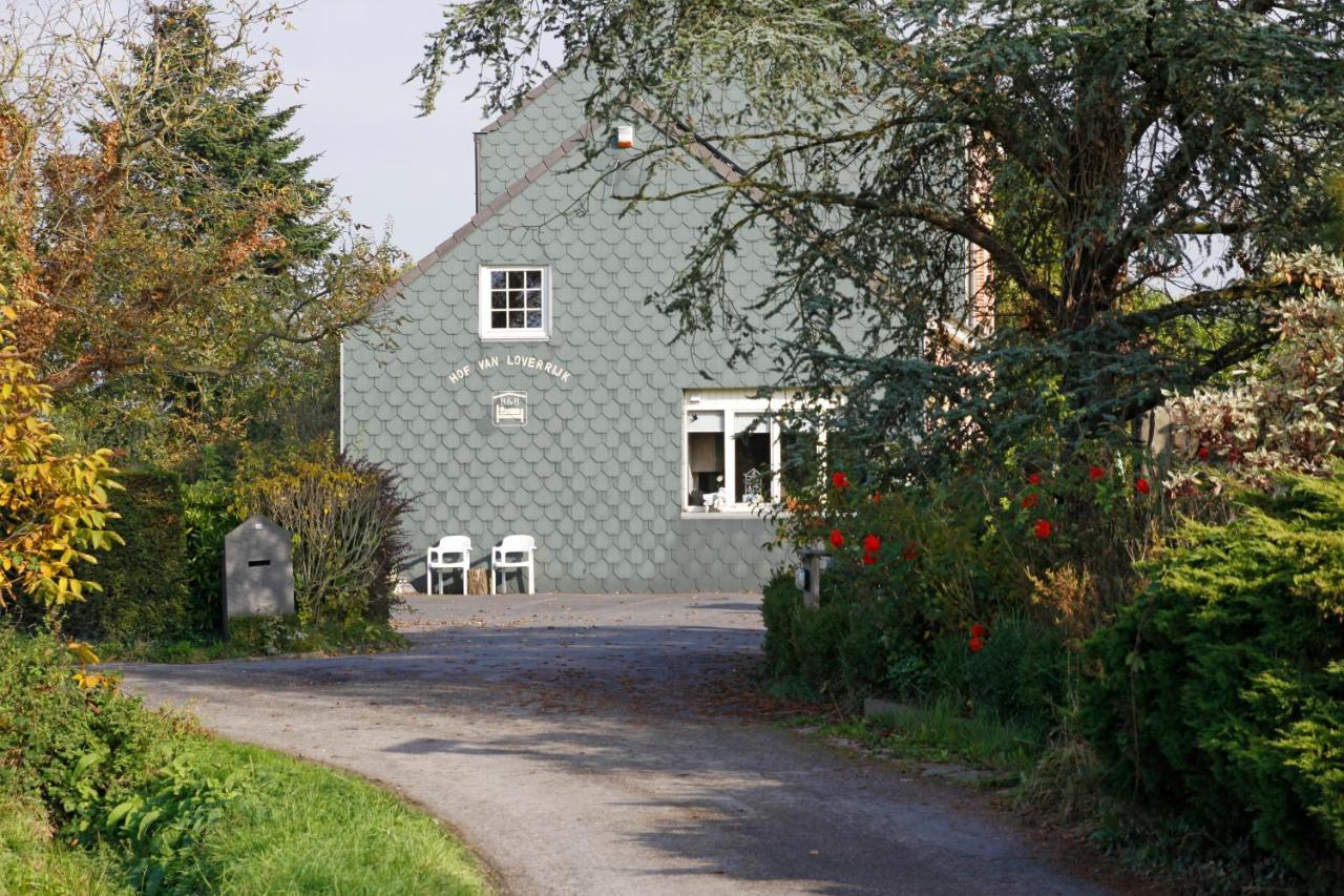 Hof Van Loverrijk Bed & Breakfast Lier Dış mekan fotoğraf