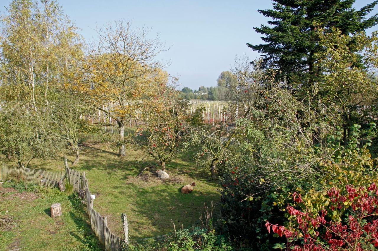 Hof Van Loverrijk Bed & Breakfast Lier Dış mekan fotoğraf